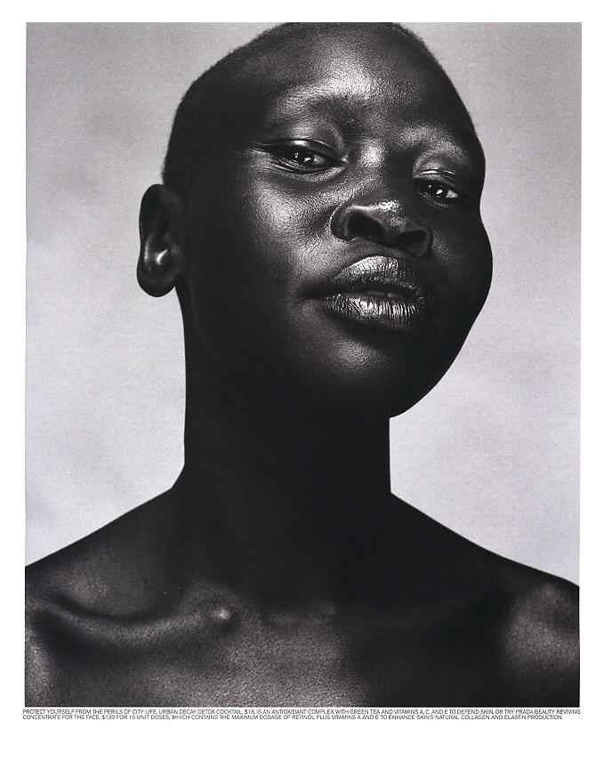 Alek Wek photo #39913